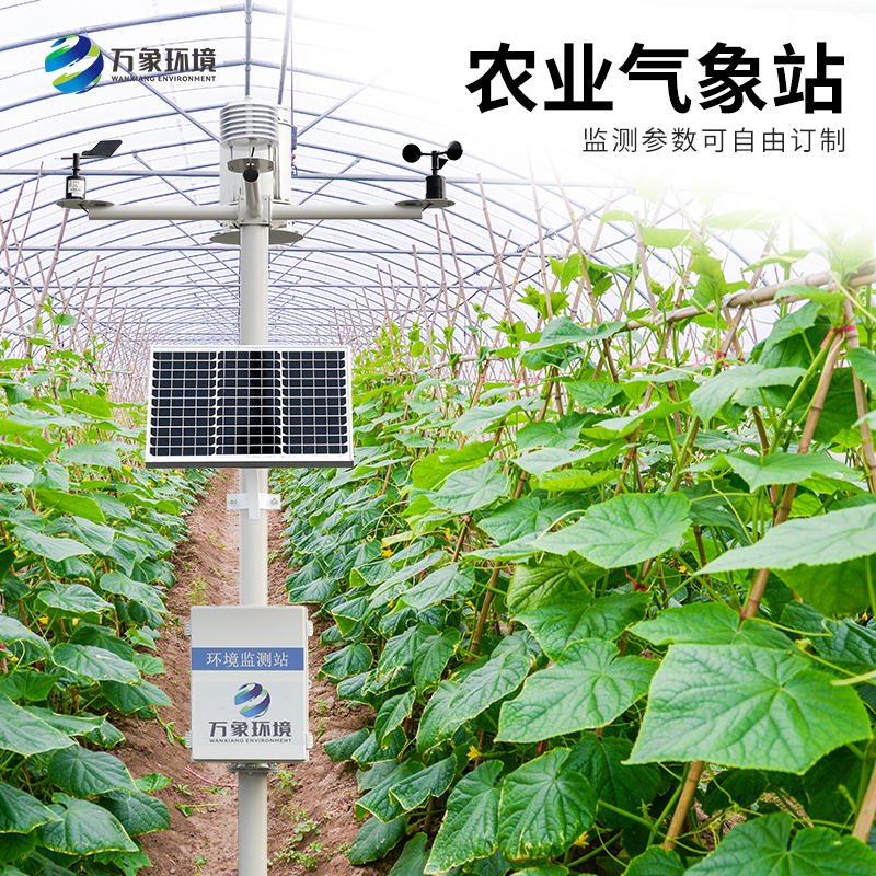 農(nóng)業(yè)全自動氣象站 農(nóng)業(yè)全自動氣象站