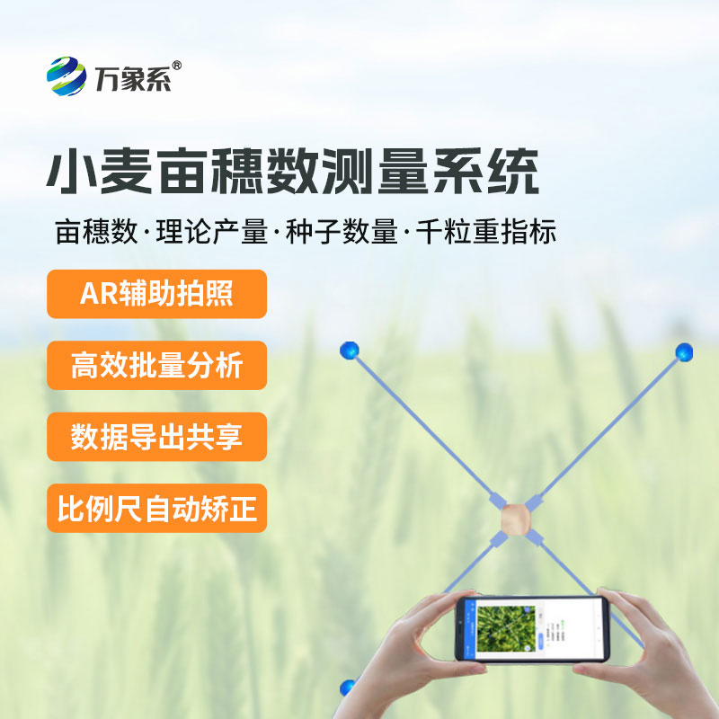 小麥畝穗數測量系統